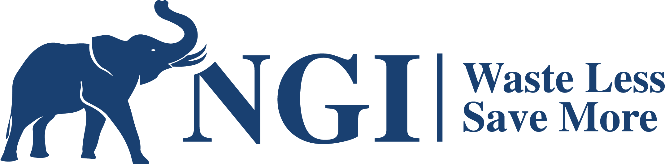 NGI logo Newland Group Insurance NGI solutions Insure With NGI